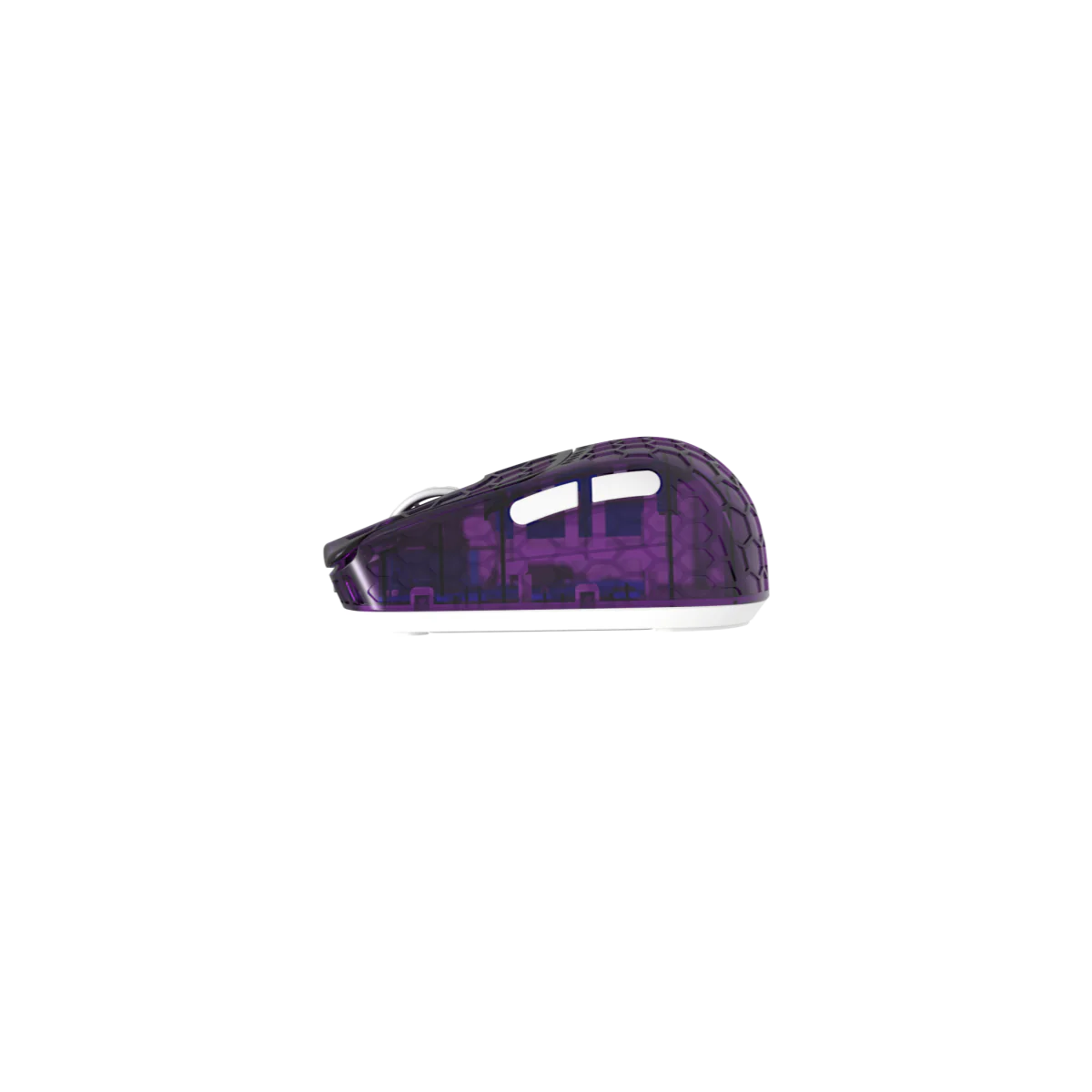 Thumbnail 12